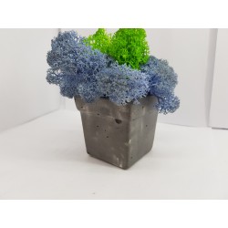 Concrete pot with moss Concrete pot with stabilized moss Concrete planter with moss Concrete planter with stabilized moss