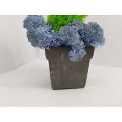 Concrete pot with moss Concrete pot with stabilized moss Concrete planter with moss Concrete planter with stabilized moss