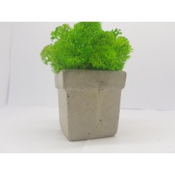 Concrete pot with moss Concrete pot with stabilized moss Concrete planter with moss Concrete planter with stabilized moss