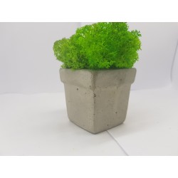 Concrete pot with moss Concrete pot with stabilized moss Concrete planter with moss Concrete planter with stabilized moss