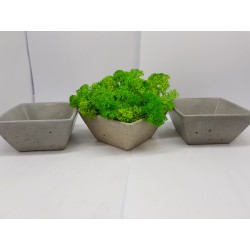 Moss pots Pots with moss Concrete pot with moss Concrete pot with stabilized moss Concrete planter with moss