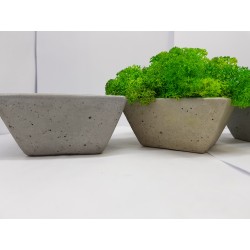 Moss pots Pots with moss Concrete pot with moss Concrete pot with stabilized moss Concrete planter with moss