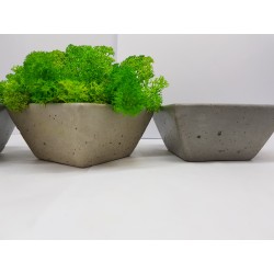 Moss pots Pots with moss Concrete pot with moss Concrete pot with stabilized moss Concrete planter with moss