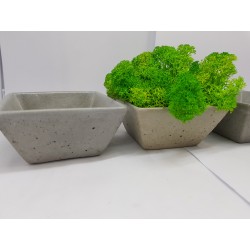 Moss pots Pots with moss Concrete pot with moss Concrete pot with stabilized moss Concrete planter with moss