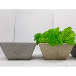 Moss pots Pots with moss Concrete pot with moss Concrete pot with stabilized moss Concrete planter with moss