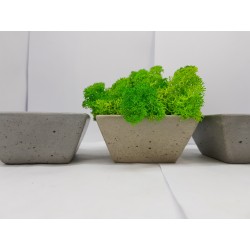 Moss pots Pots with moss Concrete pot with moss Concrete pot with stabilized moss Concrete planter with moss