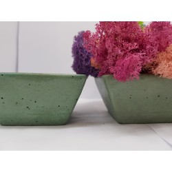 Moss pots Pots with moss Concrete pot with moss Concrete pot with stabilized moss Concrete planter with moss