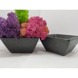 Moss pots Pots with moss Concrete pot with moss Concrete pot with stabilized moss Concrete planter with moss