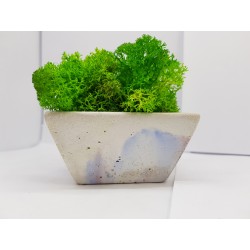 Moss pots Pots with moss Concrete pot with moss Concrete pot with stabilized moss Concrete planter with moss