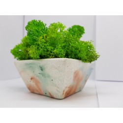 Moss pots Pots with moss Concrete pot with moss Concrete pot with stabilized moss Concrete planter with moss