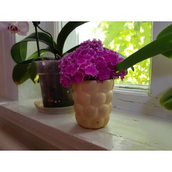 Unusual flower vase Art Nouveau Decor Design Home decor Minimalism Rustic style