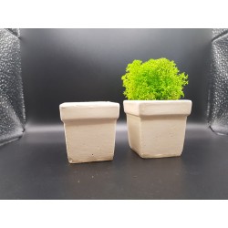 Pots for moss A planters of moss Gypsum pot for moss Organic pots with moss Environmentally friendly pots Gypsum pots Gypsum