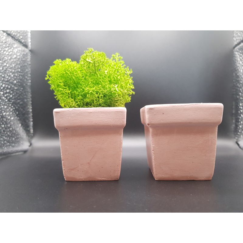 Pots for moss A planters of moss Gypsum pot for moss Organic pots with moss Environmentally friendly pots Gypsum pots Gypsum