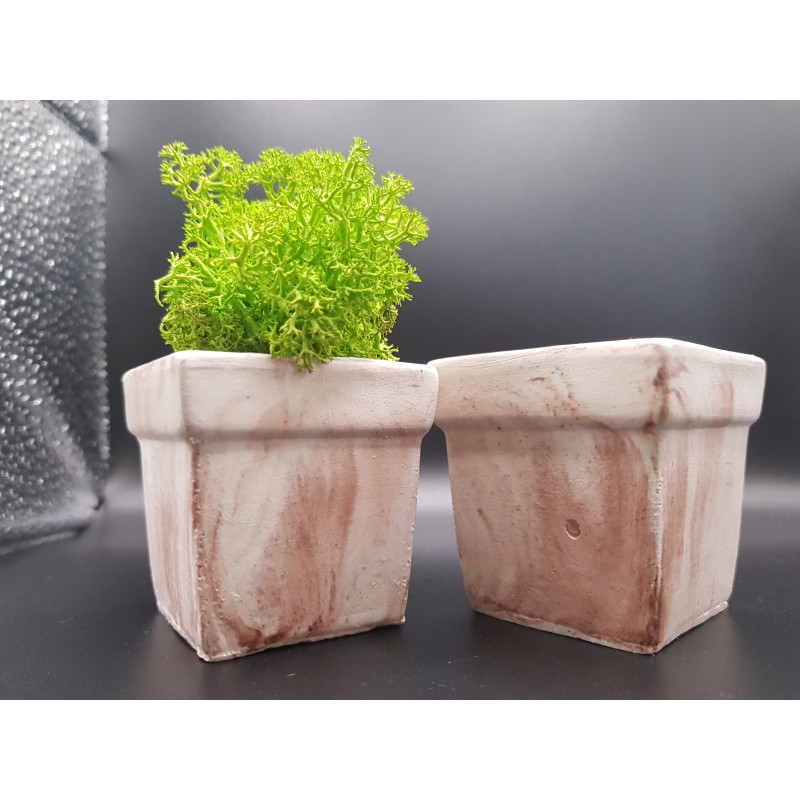 Gypsum pot for flowers Gypsum planter with moss Organic pot for flowers Plaster Handicraft Handmade Gypsum