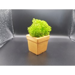 Gypsum pot for flowers Gypsum planter with moss Organic pot for flowers Plaster Handicraft Handmade Gypsum