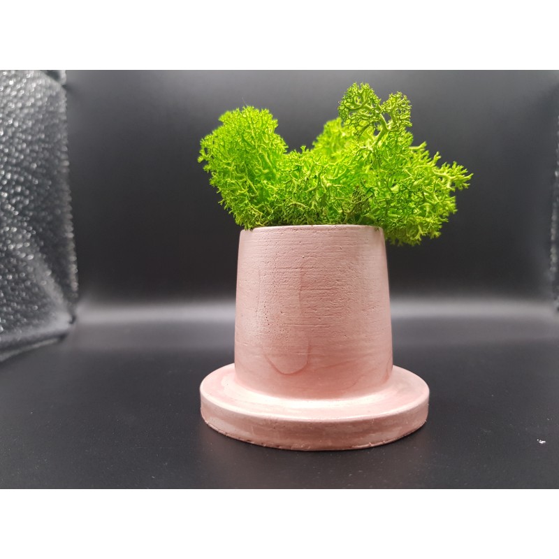 Gypsum Gypsum pot for flowers Gypsum planter with moss Organic pot for flowers Plaster Handicraft Handmade Gypsum of paris