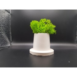 Gypsum Pots for moss A planters of moss Gypsum pot for moss Organic pots with moss Environmentally friendly pots Gypsum pots