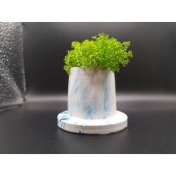 Gypsum Pots for moss A planters of moss Gypsum pot for moss Organic pots with moss Environmentally friendly pots Gypsum pots