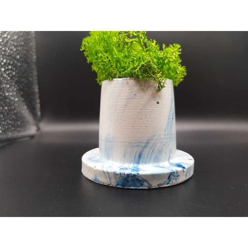 Gypsum Pots for moss A planters of moss Gypsum pot for moss Organic pots with moss Environmentally friendly pots Gypsum pots