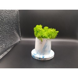 Gypsum Pots for moss A planters of moss Gypsum pot for moss Organic pots with moss Environmentally friendly pots Gypsum pots