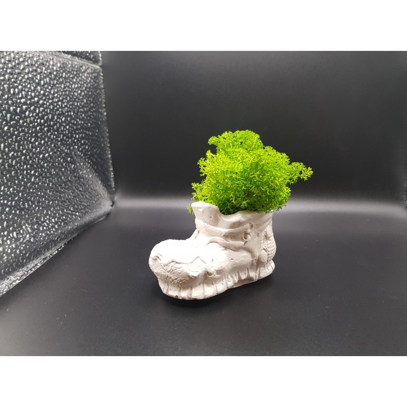 Gypsum Pots for moss A planters of moss Gypsum pot for moss Organic pots with moss Environmentally friendly pots Gypsum pots