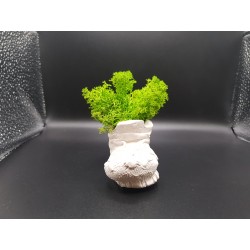 Gypsum Pots for moss A planters of moss Gypsum pot for moss Organic pots with moss Environmentally friendly pots Gypsum pots