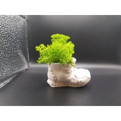 Gypsum Pots for moss A planters of moss Gypsum pot for moss Organic pots with moss Environmentally friendly pots Gypsum pots