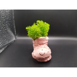 Gypsum Pots for moss A planters of moss Gypsum pot for moss Organic pots with moss Environmentally friendly pots Gypsum pots