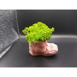 Gypsum Pots for moss A planters of moss Gypsum pot for moss Organic pots with moss Environmentally friendly pots Gypsum pots