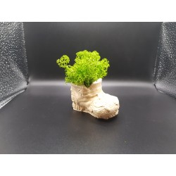 Gypsum Pots for moss A planters of moss Gypsum pot for moss Organic pots with moss Environmentally friendly pots Gypsum pots