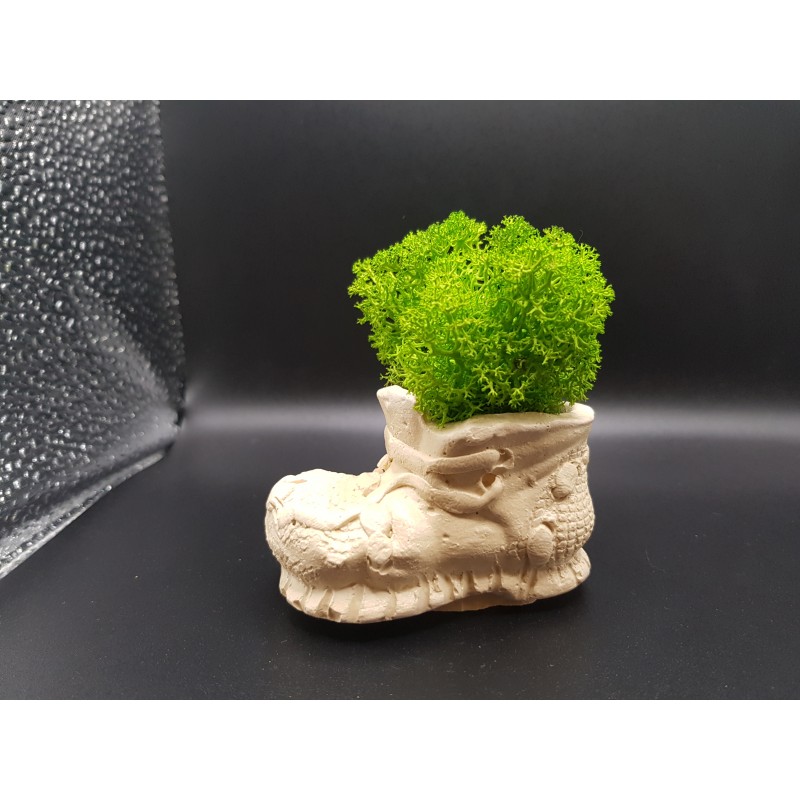 Gypsum Pots for moss A planters of moss Gypsum pot for moss Organic pots with moss Environmentally friendly pots Gypsum pots