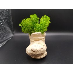 Gypsum Pots for moss A planters of moss Gypsum pot for moss Organic pots with moss Environmentally friendly pots Gypsum pots