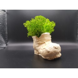 Gypsum Pots for moss A planters of moss Gypsum pot for moss Organic pots with moss Environmentally friendly pots Gypsum pots