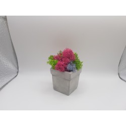 Gypsum pot for flowers Gypsum planter with moss Organic pot for flowers Plaster Handicraft Handmade Gypsum