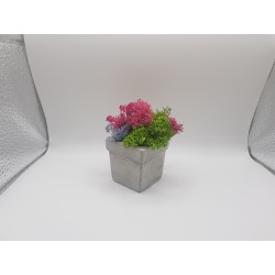 Gypsum pot for flowers Gypsum planter with moss Organic pot for flowers Plaster Handicraft Handmade Gypsum