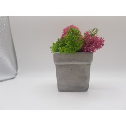 Gypsum pot for flowers Gypsum planter with moss Organic pot for flowers Plaster Handicraft Handmade Gypsum