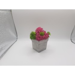 Gypsum pot for flowers Gypsum planter with moss Organic pot for flowers Plaster Handicraft Handmade Gypsum