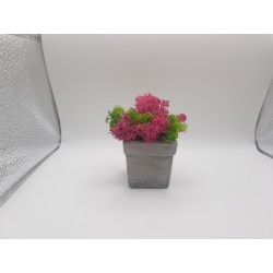 Gypsum pot for flowers Gypsum planter with moss Organic pot for flowers Plaster Handicraft Handmade Gypsum