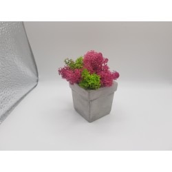 Gypsum pot for flowers Gypsum planter with moss Organic pot for flowers Plaster Handicraft Handmade Gypsum