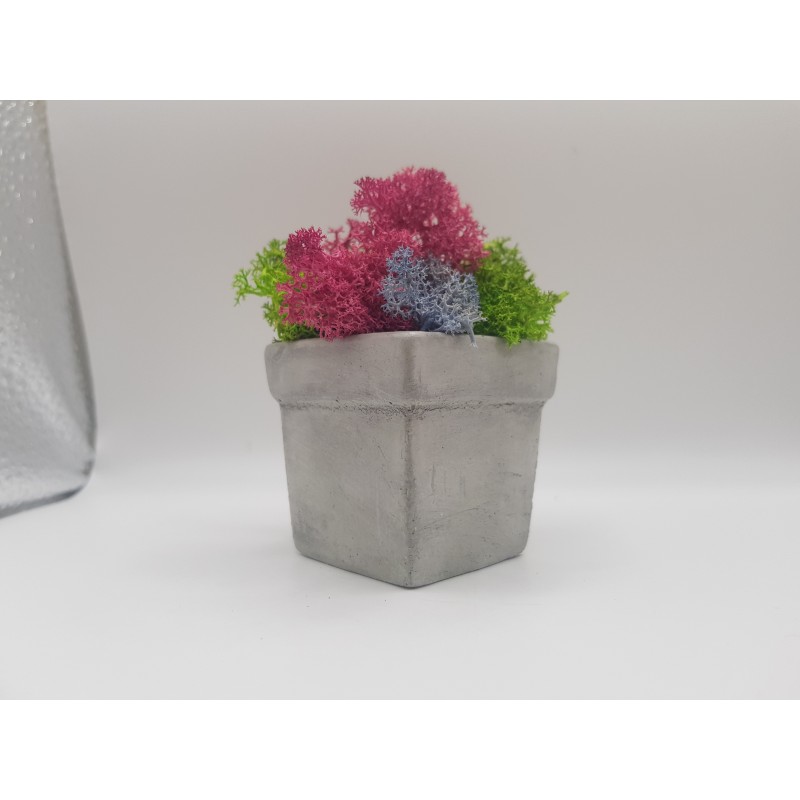 Gypsum pot for flowers Gypsum planter with moss Organic pot for flowers Plaster Handicraft Handmade Gypsum