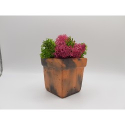 Concrete pot with moss Concrete pot with stabilized moss Concrete planter with moss Concrete planter with stabilized moss