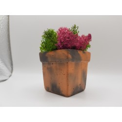 Concrete pot with moss Concrete pot with stabilized moss Concrete planter with moss Concrete planter with stabilized moss