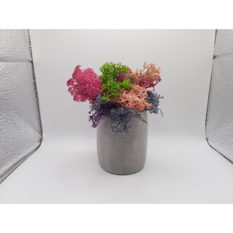 Gypsum Gypsum pot for flowers Gypsum planter with moss Organic pot for flowers Plaster Handicraft Handmade Gypsum of paris