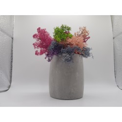 Gypsum Gypsum pot for flowers Gypsum planter with moss Organic pot for flowers Plaster Handicraft Handmade Gypsum of paris