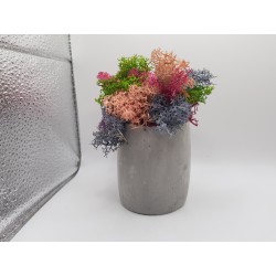 Gypsum Gypsum pot for flowers Gypsum planter with moss Organic pot for flowers Plaster Handicraft Handmade Gypsum of paris