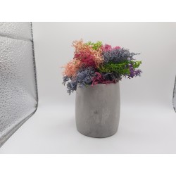 Gypsum Gypsum pot for flowers Gypsum planter with moss Organic pot for flowers Plaster Handicraft Handmade Gypsum of paris