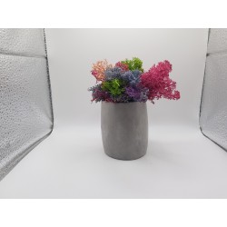 Gypsum Gypsum pot for flowers Gypsum planter with moss Organic pot for flowers Plaster Handicraft Handmade Gypsum of paris