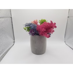 Gypsum Gypsum pot for flowers Gypsum planter with moss Organic pot for flowers Plaster Handicraft Handmade Gypsum of paris