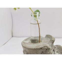 Mini vase Vase for wildflowers Small flower vase Miniature flower vase Mini vase Loft