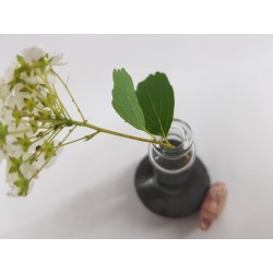 Mini vase Vase for wildflowers Small flower vase Miniature flower vase Mini vase Loft